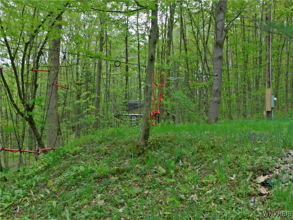 9152 Lyman Road #22, Clarksville, New York image 39