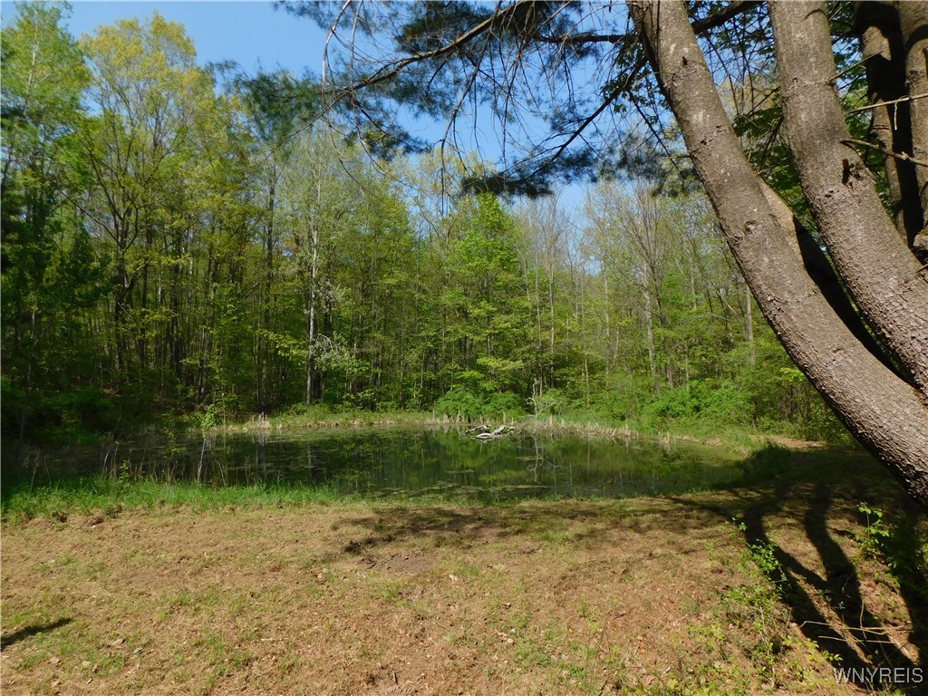 9152 Lyman Road #22, Clarksville, New York image 10
