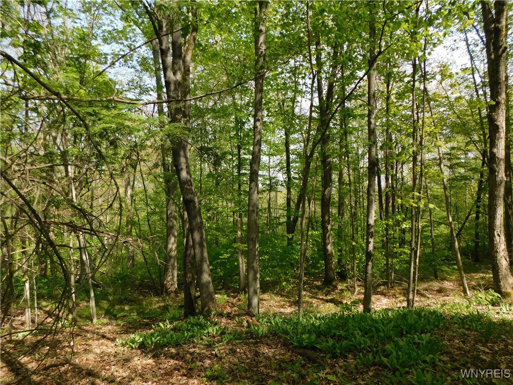 9152 Lyman Road #22, Clarksville, New York image 11