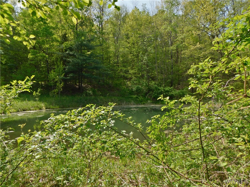 9152 Lyman Road #22, Clarksville, New York image 7