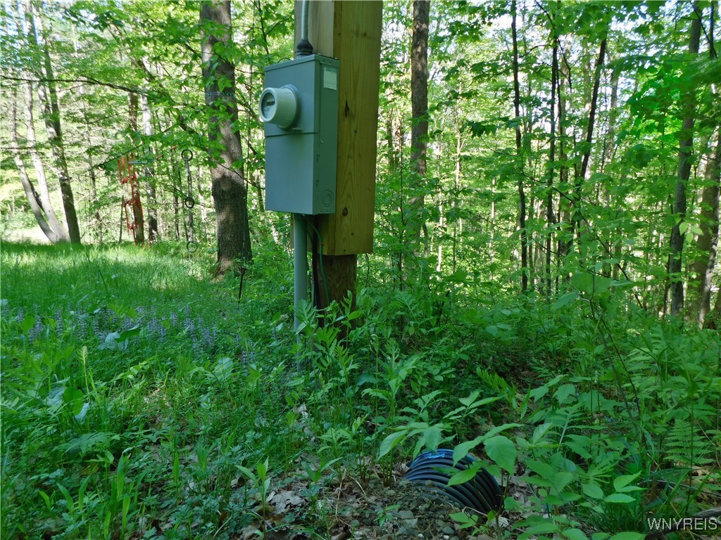 9152 Lyman Road #22, Clarksville, New York image 40