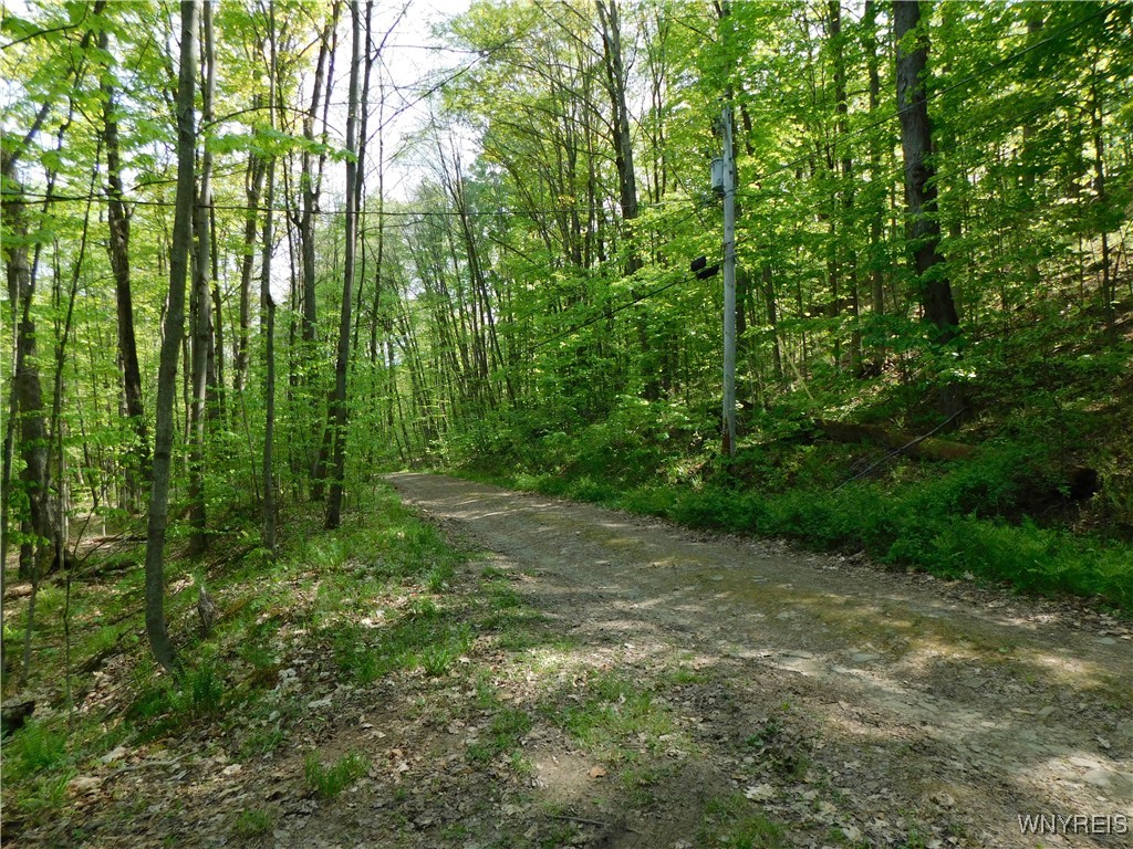 9152 Lyman Road #22, Clarksville, New York image 20