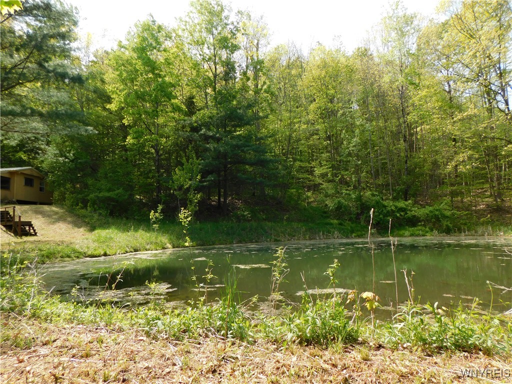 9152 Lyman Road #22, Clarksville, New York image 6