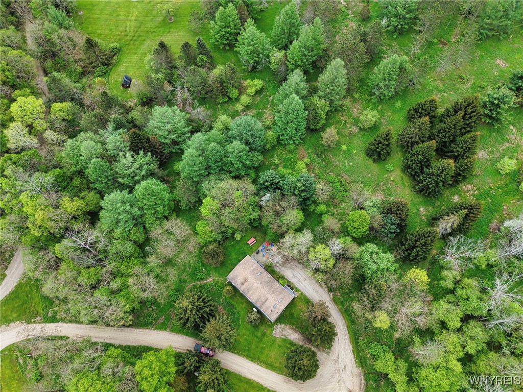 5556 Bryant Hill Road, Ellicottville, New York image 5