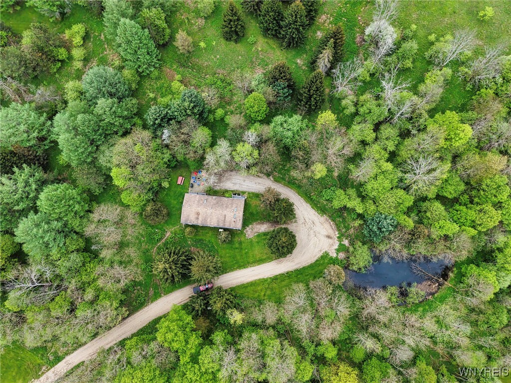 5556 Bryant Hill Road, Ellicottville, New York image 39