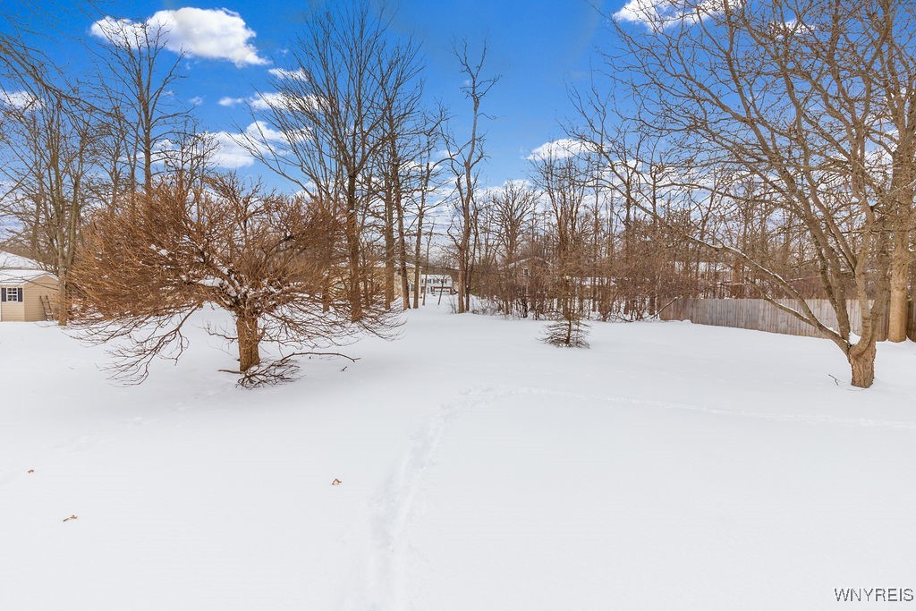 60 Parkview Drive, Grand Island, New York image 4