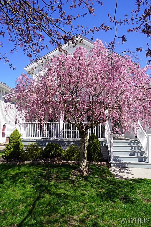 59 Hamilton Boulevard, Tonawanda, New York image 3