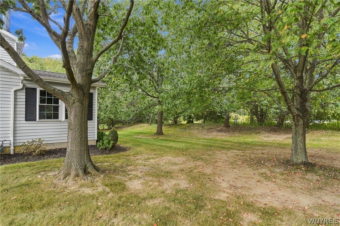 171 Stepping Stone Lane