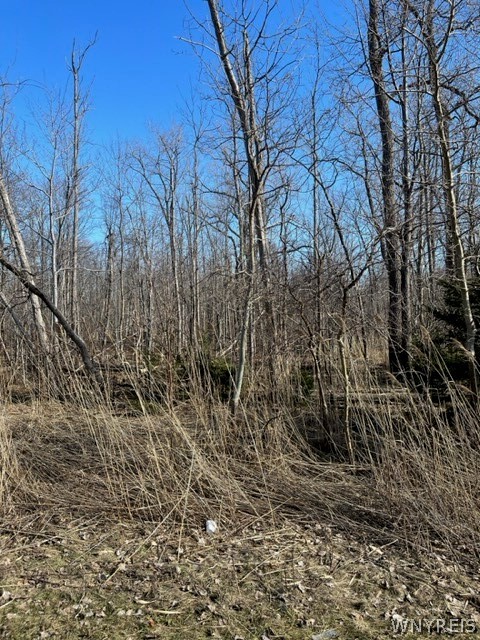 0 Wilson Avenue S