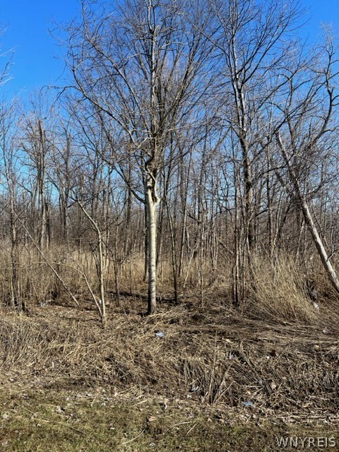 0 Wilson Avenue S