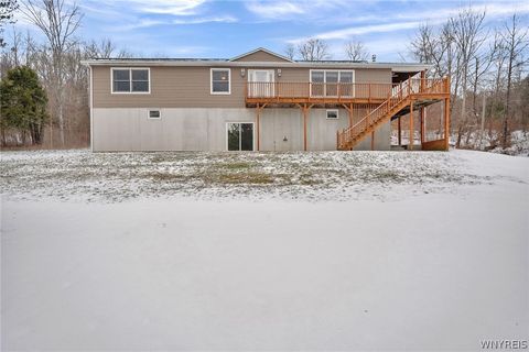 Homes For Sale - 3972 Duffy Hollow Road<br/> Wellsville, NY 14895
