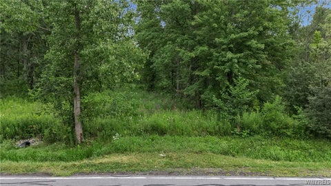 Vacant Land For Sale - V/L Calkins & Creek Road<br/> Lewiston, NY 14092
