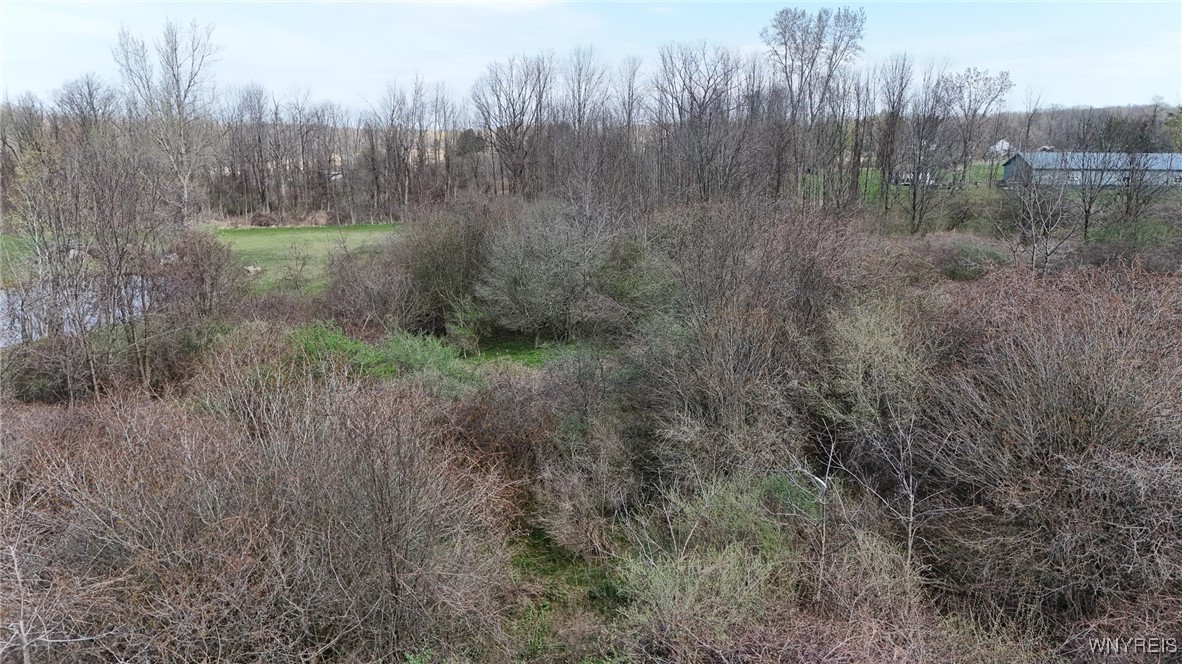 00 Rowland Road, Conesus, New York image 14