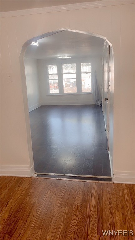 455 Monroe Street, Buffalo, New York image 5