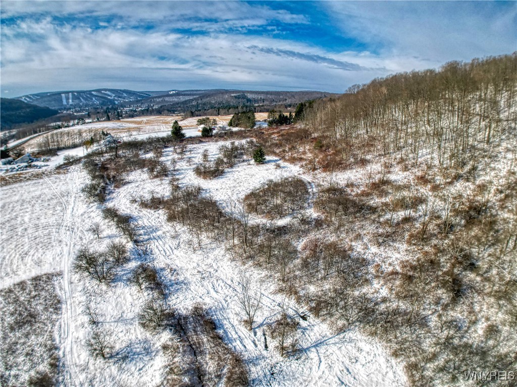 6096 Nys Rte 242 Lot #1, Ellicottville, New York image 9