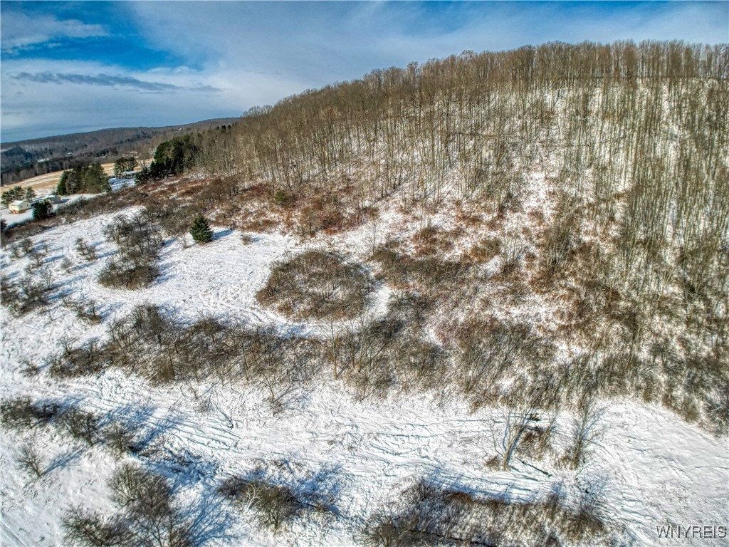 6096 Nys Rte 242 Lot #1, Ellicottville, New York image 4