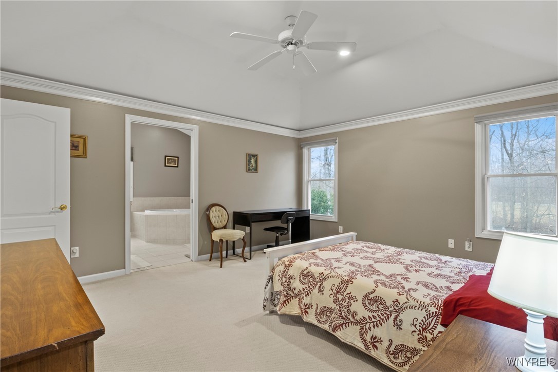 280 Lawrence Woods, Orchard Park, New York image 20