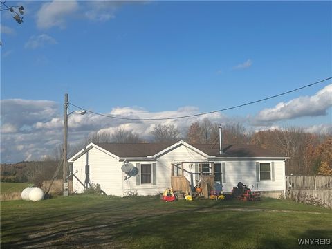 Homes For Sale - 4560 Scrabble Hill Road<br/> Collins, NY 14034