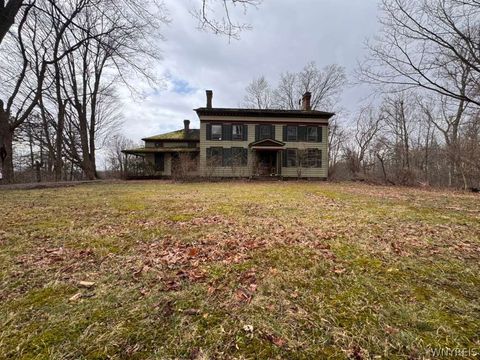 Homes For Sale - 13418 Quaker Street<br/> Collins, NY 14034