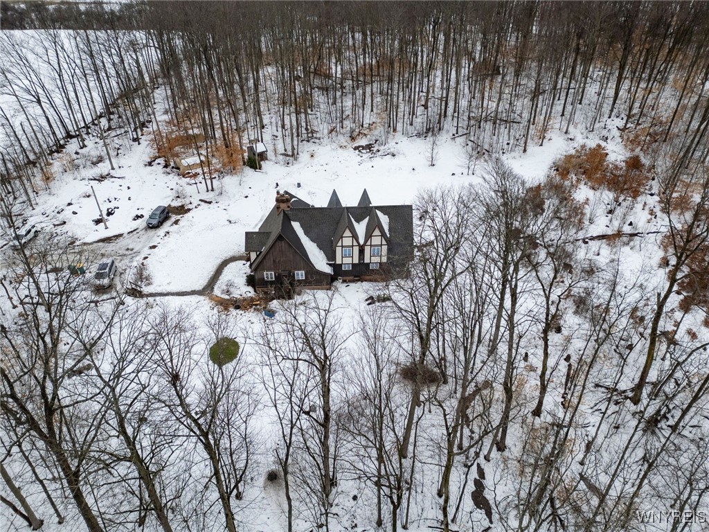 7486 Tenefly Road, Pike, New York image 2