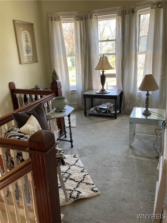 100 Hawkins Avenue, Hamburg, New York image 5