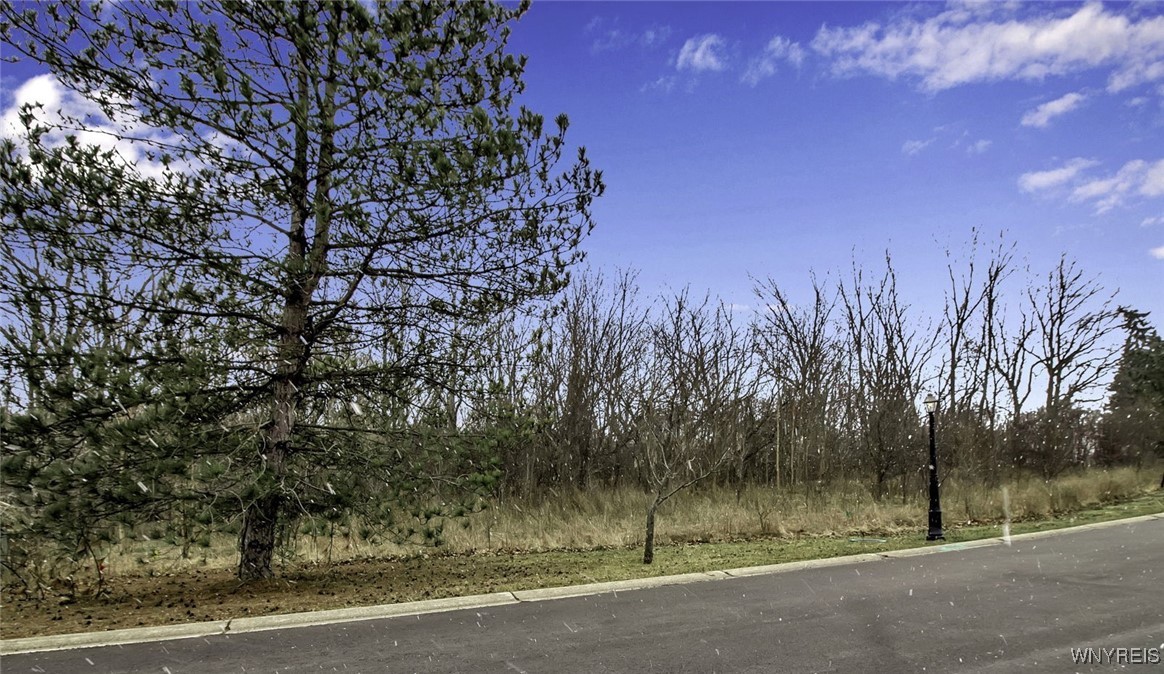 5275 Country Club Trail, Lewiston, New York image 15