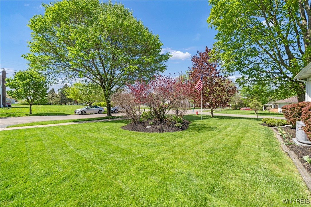 241 Seneca Street, Collins, New York image 38