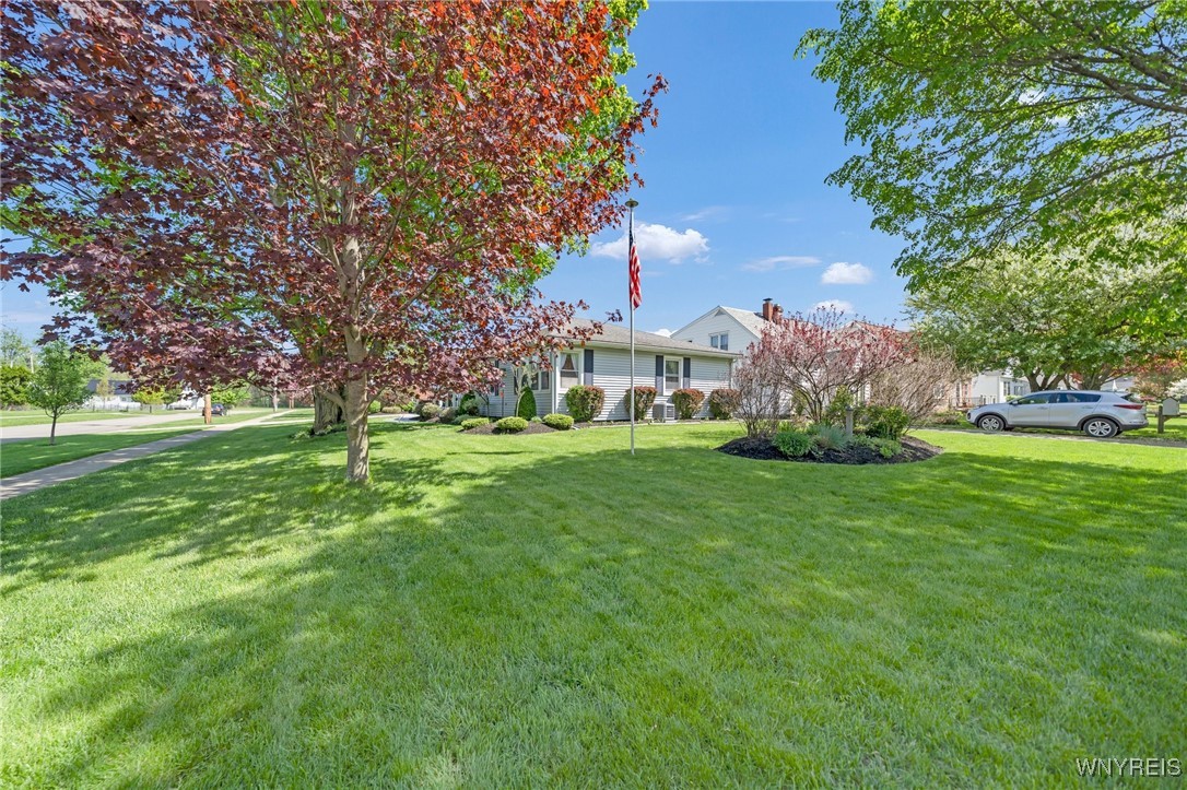 241 Seneca Street, Collins, New York image 4