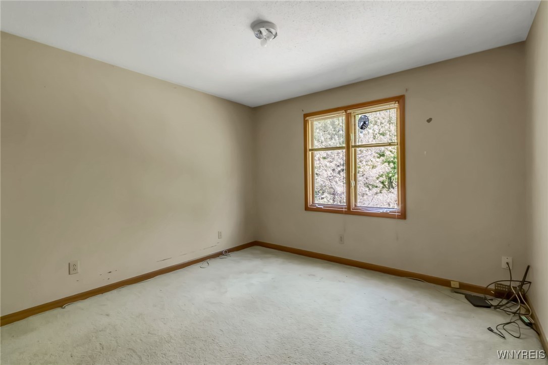 113 Meadow Spring Lane, Amherst, New York image 27