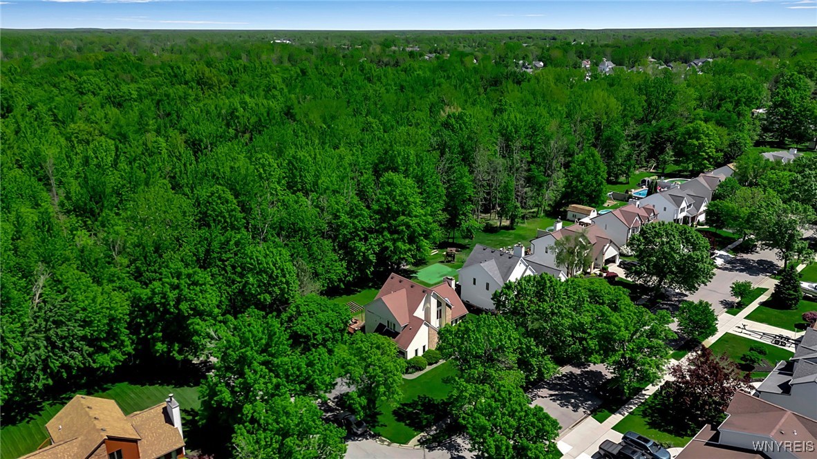 113 Meadow Spring Lane, Amherst, New York image 42
