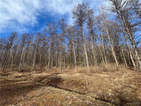 Homes For Sale - TBB LOT #1 42 Degrees North<br/> Cattaraugus County, Ellicottville, NY 14731