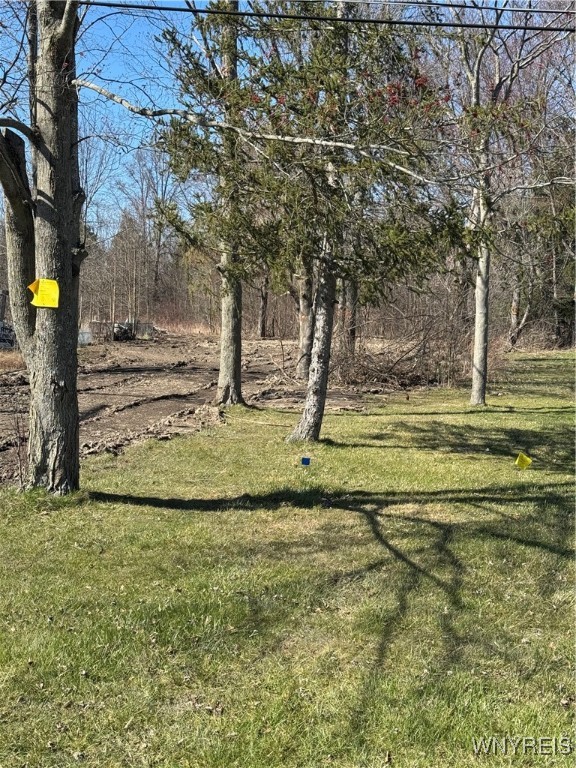 2923 Sunset Drive, Grand Island, New York image 2
