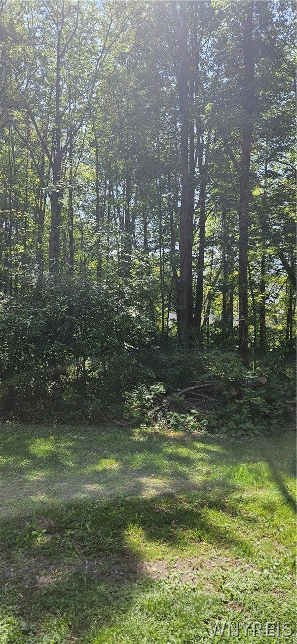Photo of Adams Avenue, Evans, NY 14006 (MLS # B1706206)