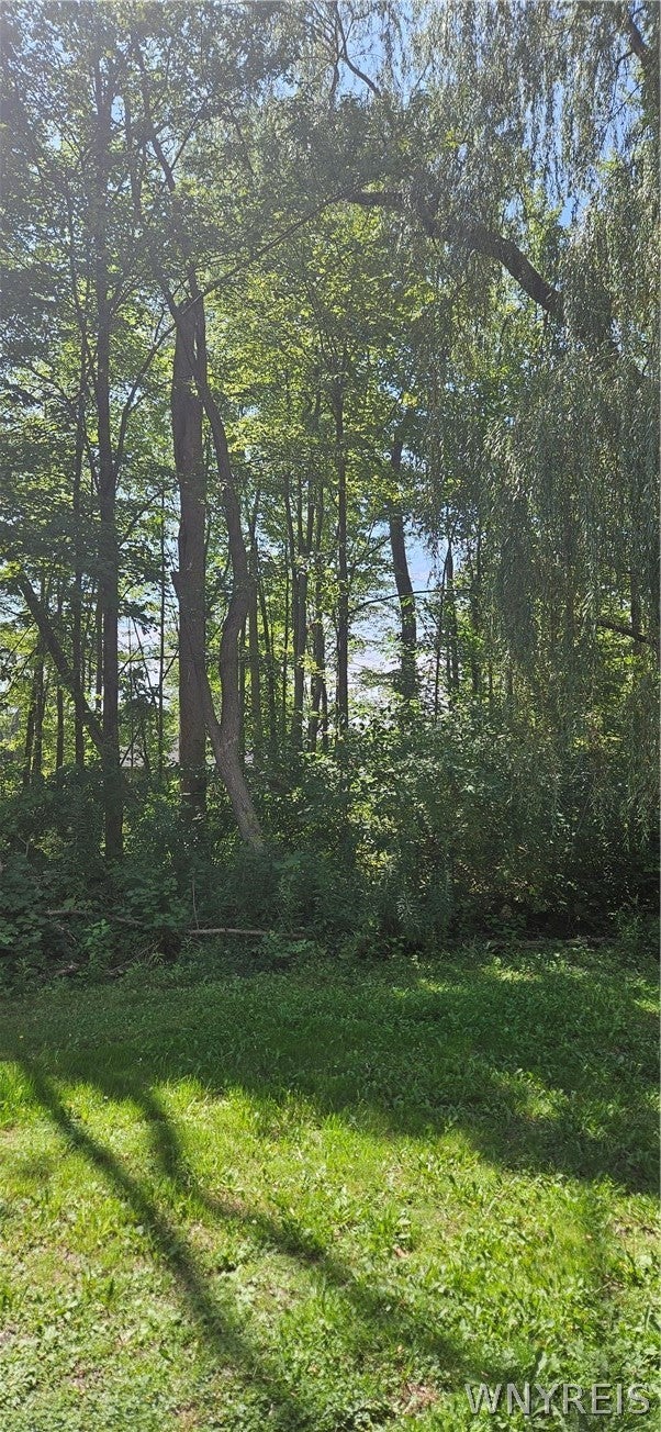 Photo of Adams Avenue, Evans, NY 14006 (MLS # B1706206)