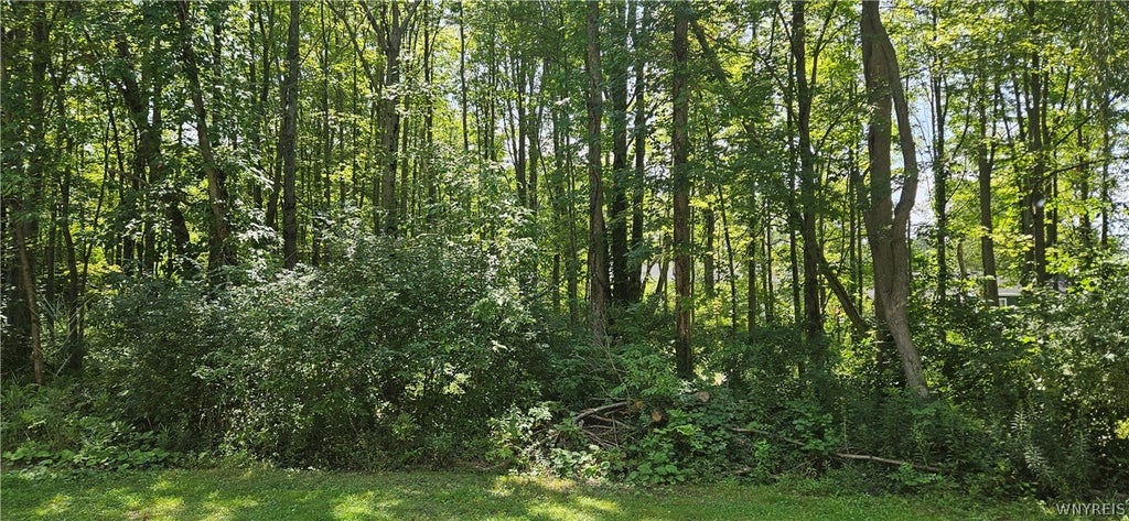 Photo of Adams Avenue, Evans, NY 14006 (MLS # B1706206)