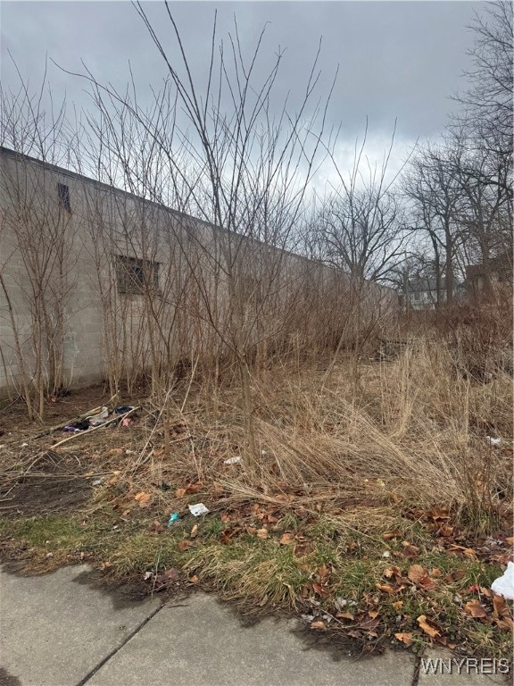 1023 Cleveland Avenue, Niagara Falls, New York image 1