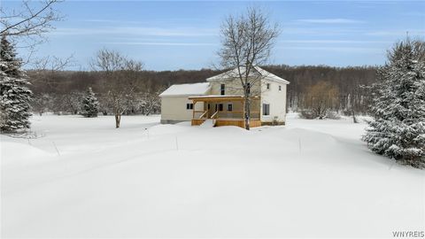 Homes For Sale - 4282 Gun Barrel Road<br/> Yorkshire, NY 14042