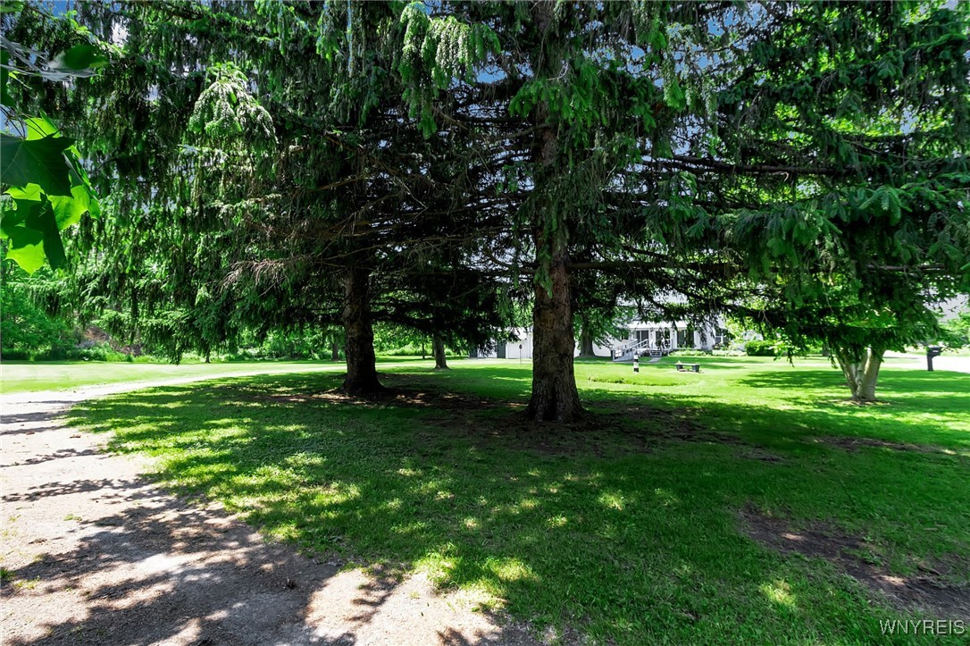 Shelby, New York 14103, United States, 5 Bedrooms Bedrooms, ,3 BathroomsBathrooms,Residential,Active,150284