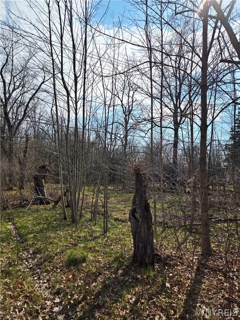 Vacant Land For Sale - 3312 Love Road<br/> Grand Island, NY 14072