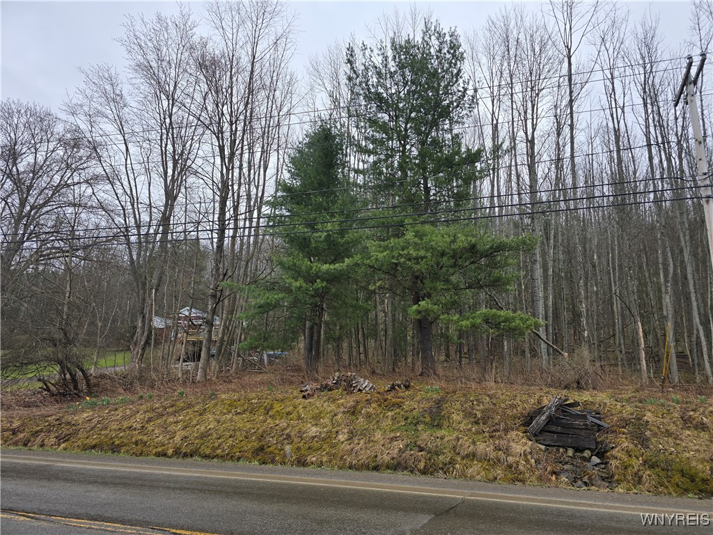 77 S Shore Road, Cuba, New York image 15
