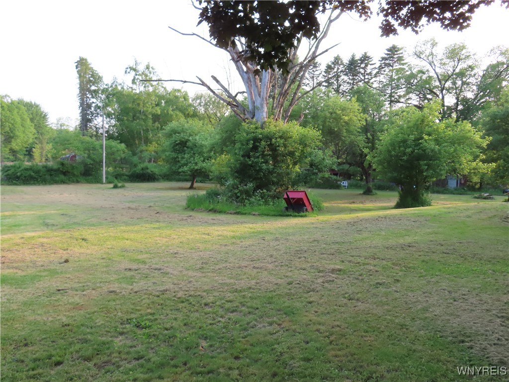 8764 West Avenue, Eden, New York image 11
