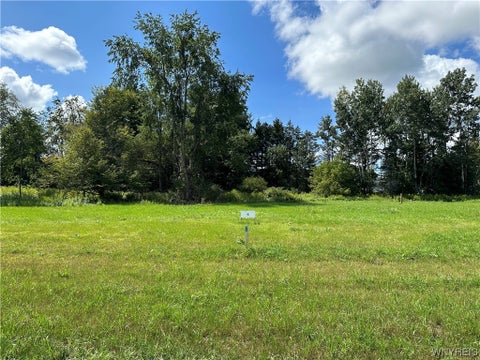 Vacant Land For Sale - LOT 7 Tanglewood Development<br/> Allegany, NY 14706