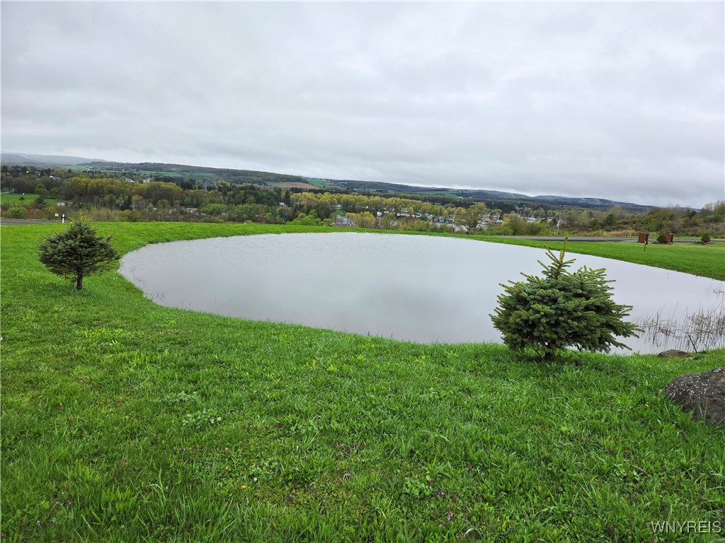 9600 Vermont View Road, Machias, New York image 2