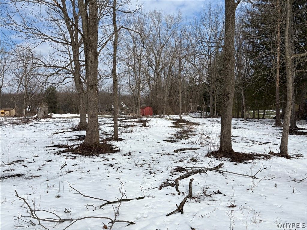 Photo of 0 Porterville Road, Aurora, NY 14052 (MLS # B1667843)