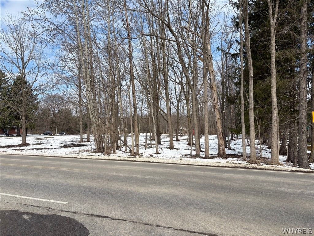 Photo of 0 Porterville Road, Aurora, NY 14052 (MLS # B1667843)