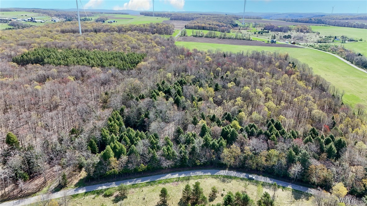 2788 Williamson Road, Greenwood, New York image 1