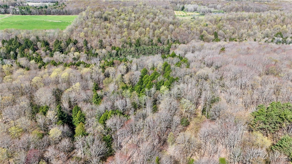 2788 Williamson Road, Greenwood, New York image 6