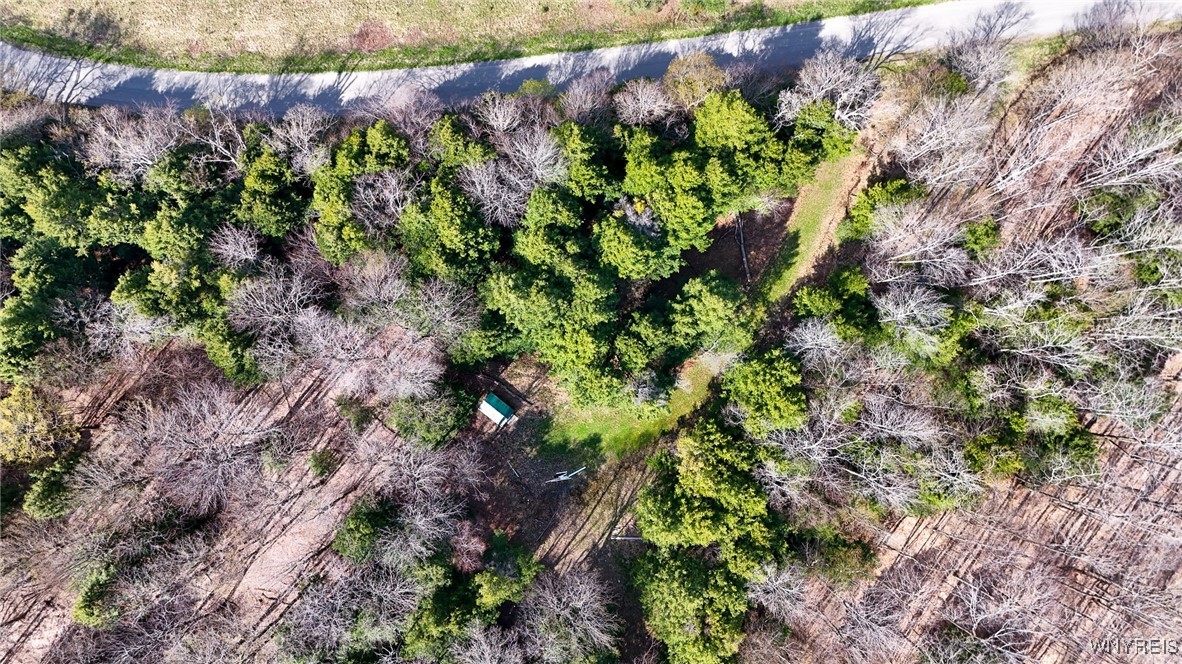 2788 Williamson Road, Greenwood, New York image 7