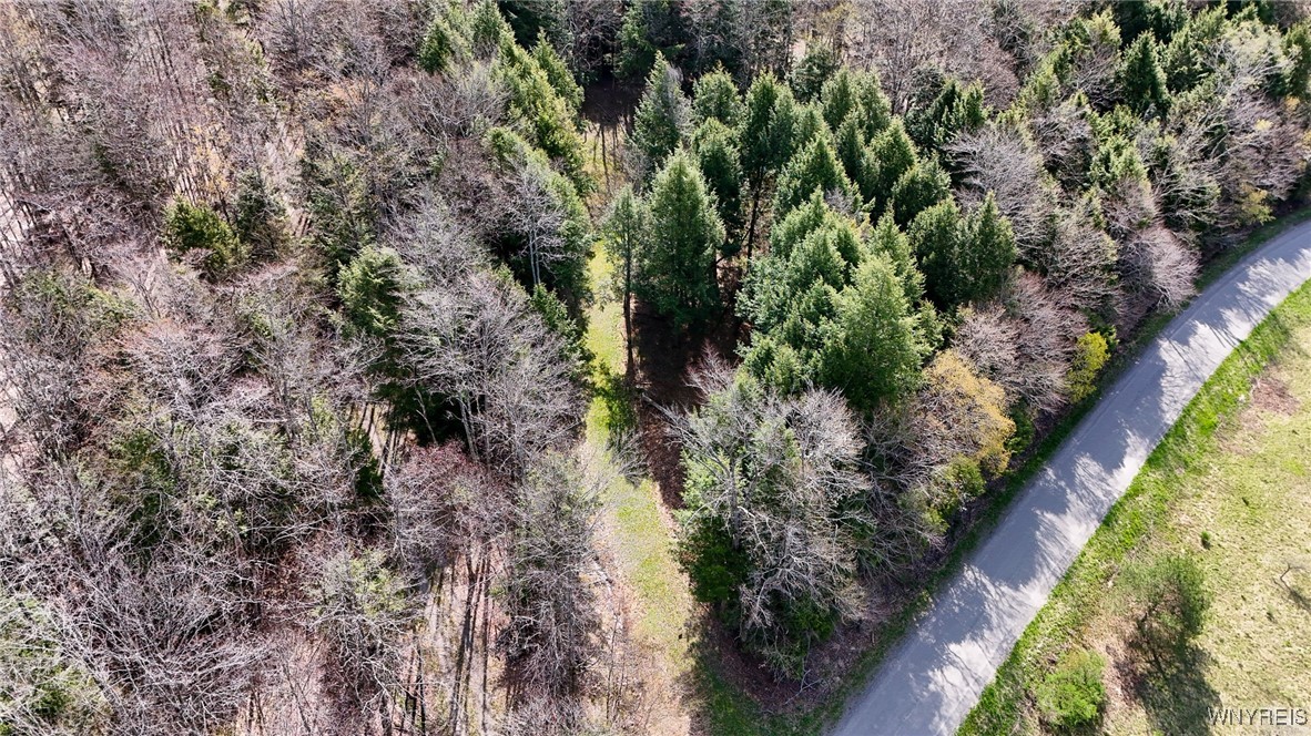 2788 Williamson Road, Greenwood, New York image 10