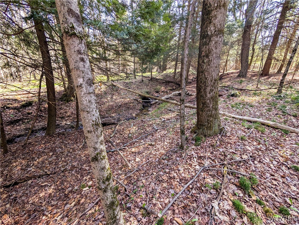 2788 Williamson Road, Greenwood, New York image 14